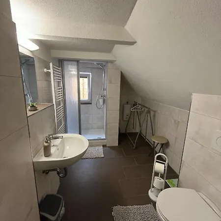 Alpenrose Guest house *